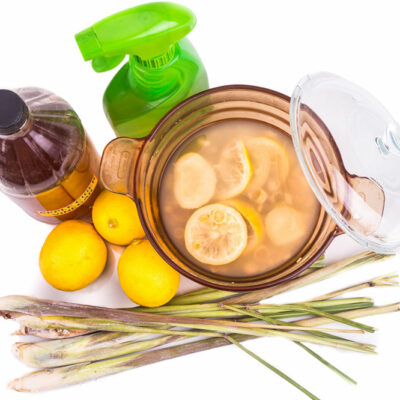 DIY Sprays to Fight Fleas Easily