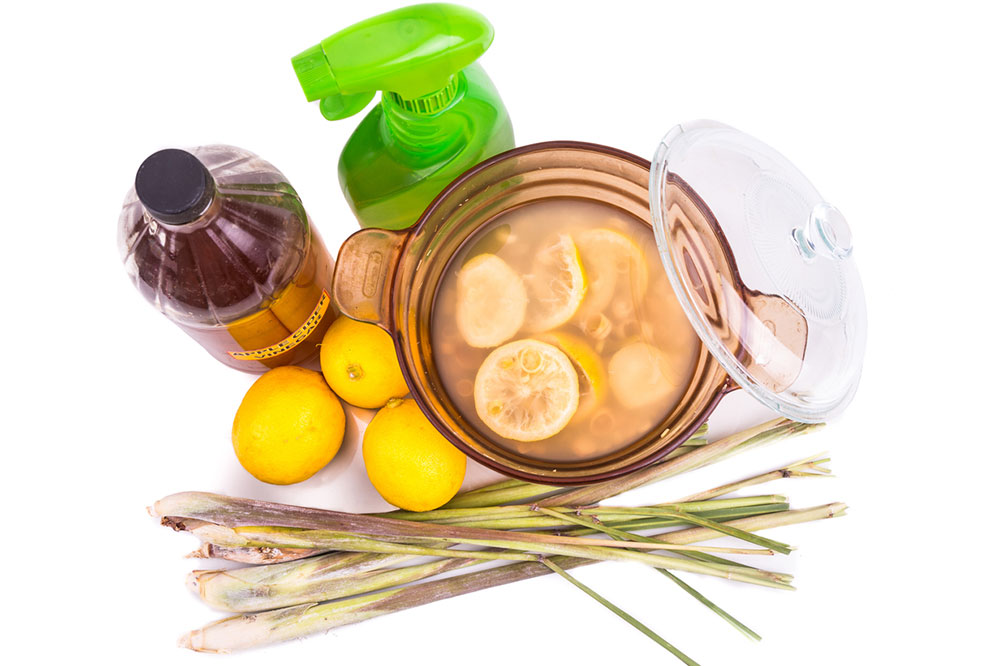 DIY Sprays to Fight Fleas Easily
