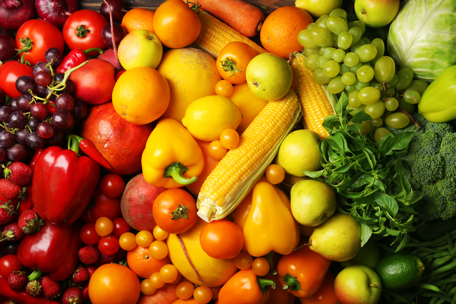 Best Foods and Other Treatments to Manage Osteoporosis